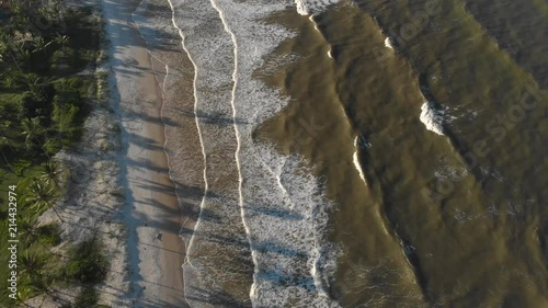 Wide shot of brown sea waves hitting shore with palm trees shade. canavieiras, bahia, brazil