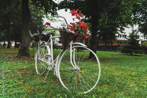 white old bicycle with a basket of flowers as decoration in the park