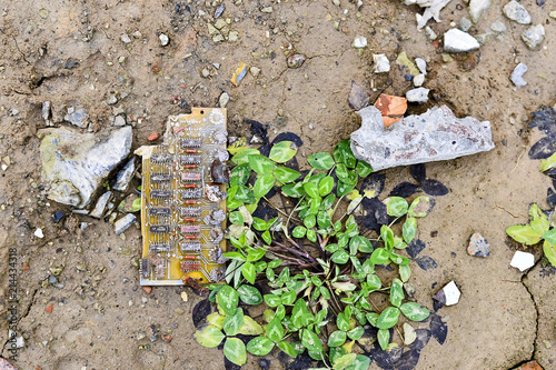 A chunk of the electric circuit Board lies on the ground next to the green clover Russia, Zheleznogorsk January 2018 photo