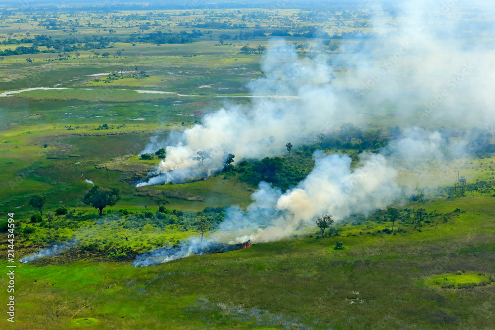Wildfire in savannah. Aerial landscape in Okavango delta, Botswana. Lakes and rivers, view from airplane. Green vegetation in South Africa. Trees with fire smoke.