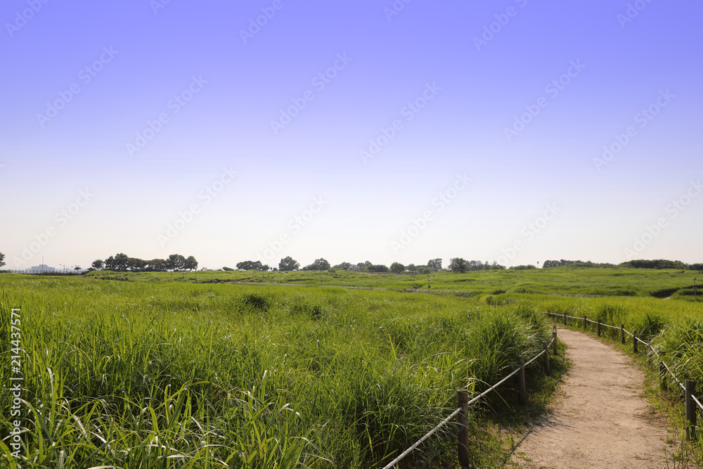 An image of nature consisting of blue sky and fields