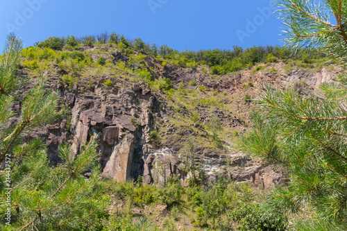 stone hillside with blossoming greenery and trees on top of it