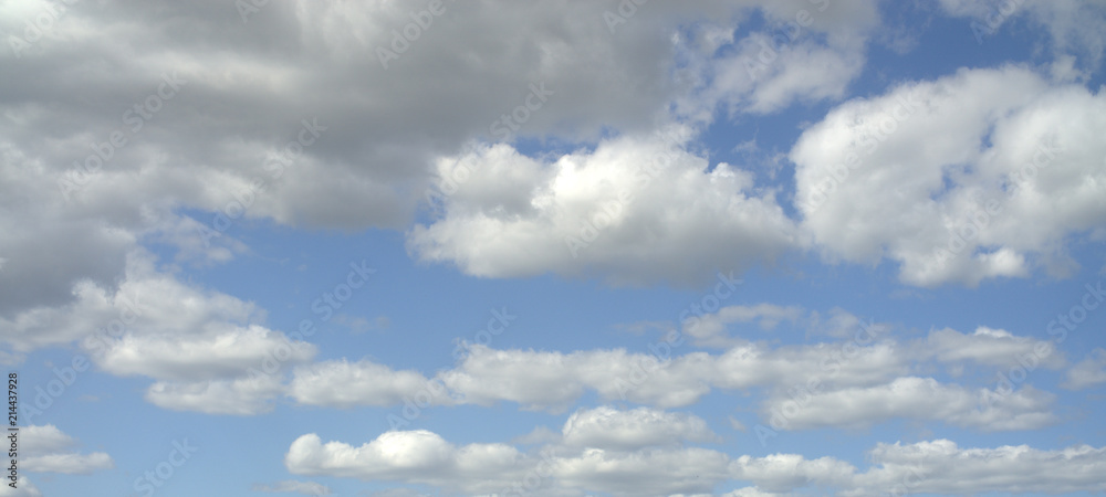 Fototapeta premium clouds in the blue sky