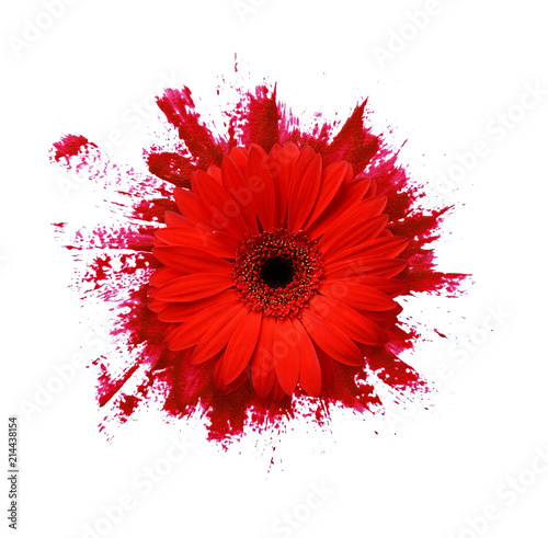 Closeup of red paint brushs...