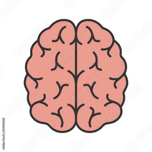 Human brain color icon