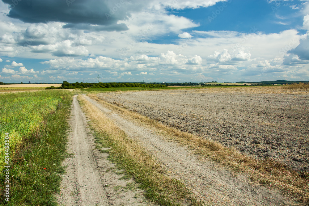 Country road, plowed field and clouds in the sky