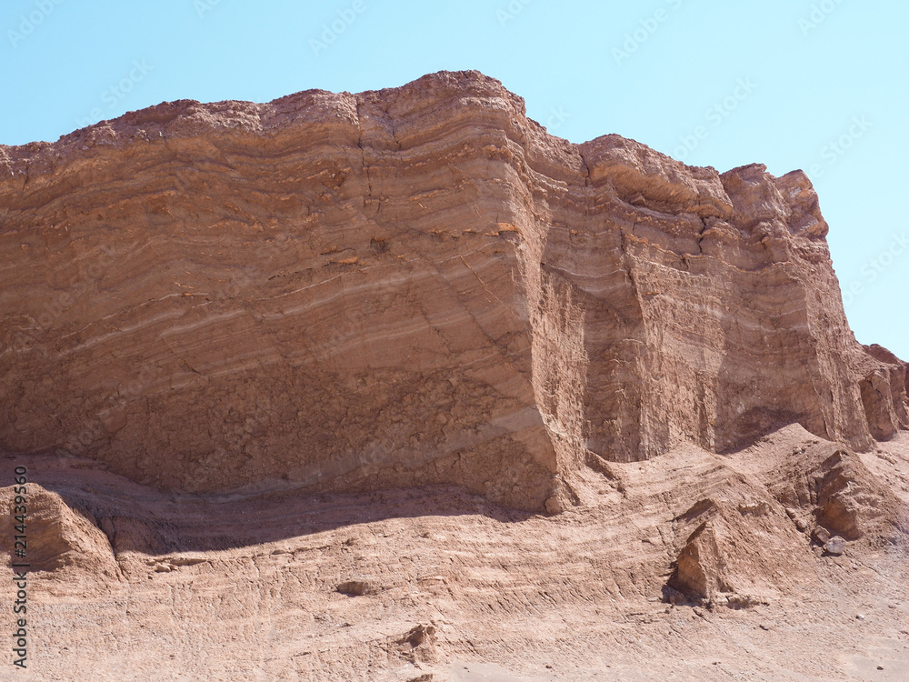 Obraz premium OLYMPUS DIGITAL CAMERA