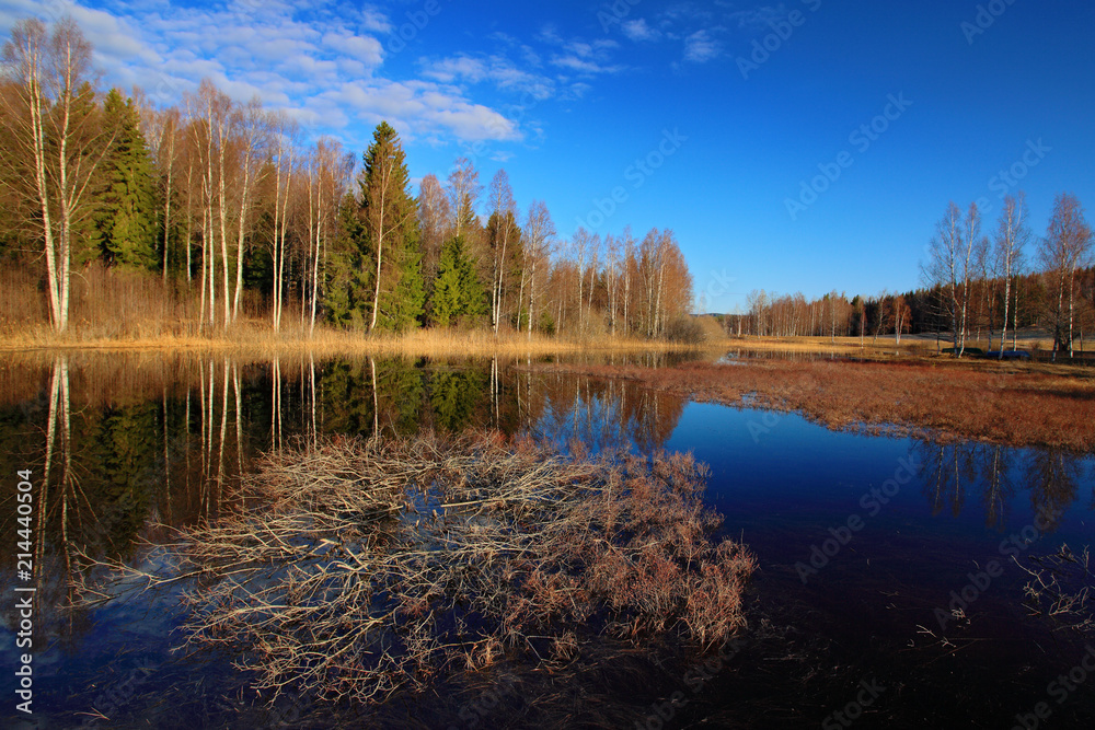 Finland taiga. Lake with forest and blue sky. Landscape from north of Europe.
