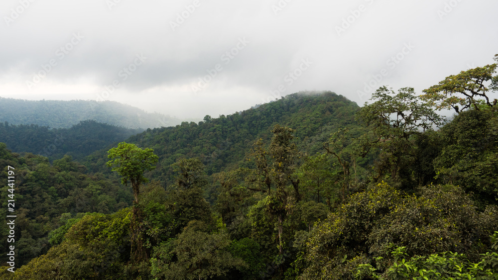 Mindo Cloud Forest, Ecuador