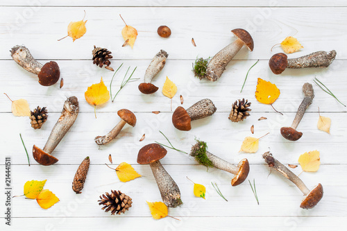 Fototapeta Naklejka Na Ścianę i Meble -  Pattern of autumn mushrooms and leaves