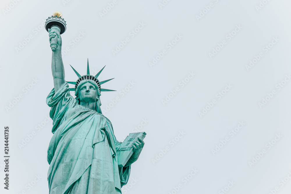 Obraz premium Freiheitsstatue - New York City Links Porträt