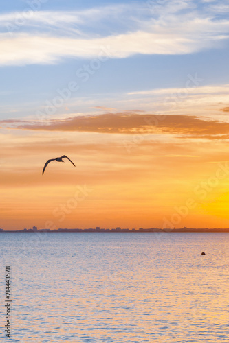 Beautiful summer sunset with clouds over the sea