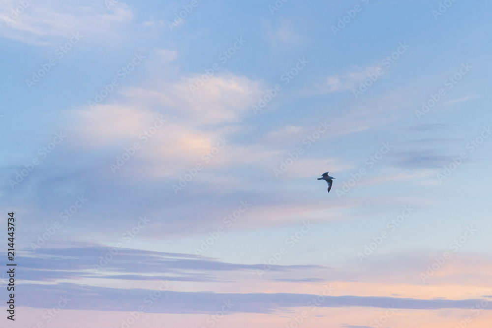 Beautiful summer sunset with clouds over the sea Beautiful summer sunset with clouds over the sea