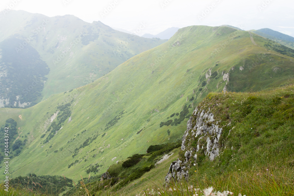 Fototapeta premium green mountains landscape