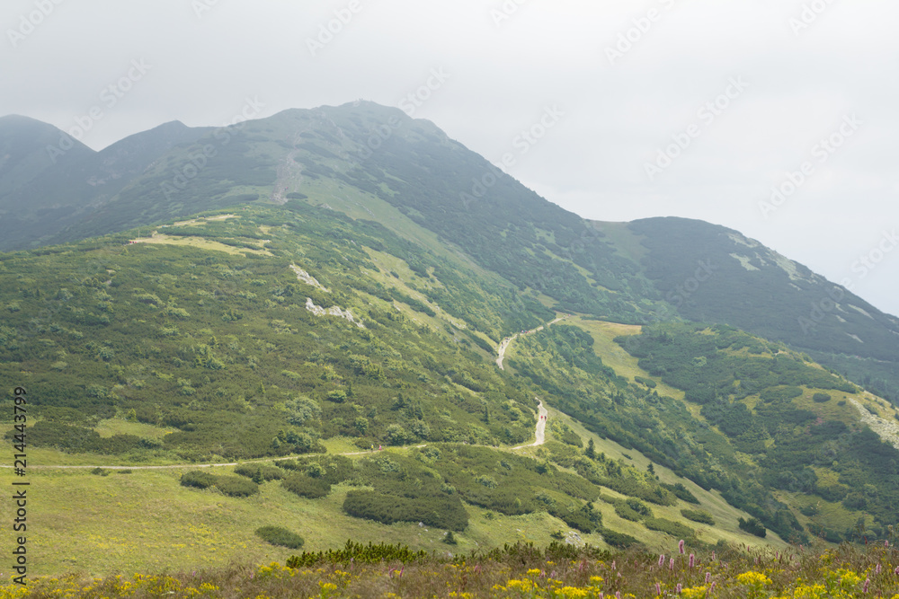 green mountain hills