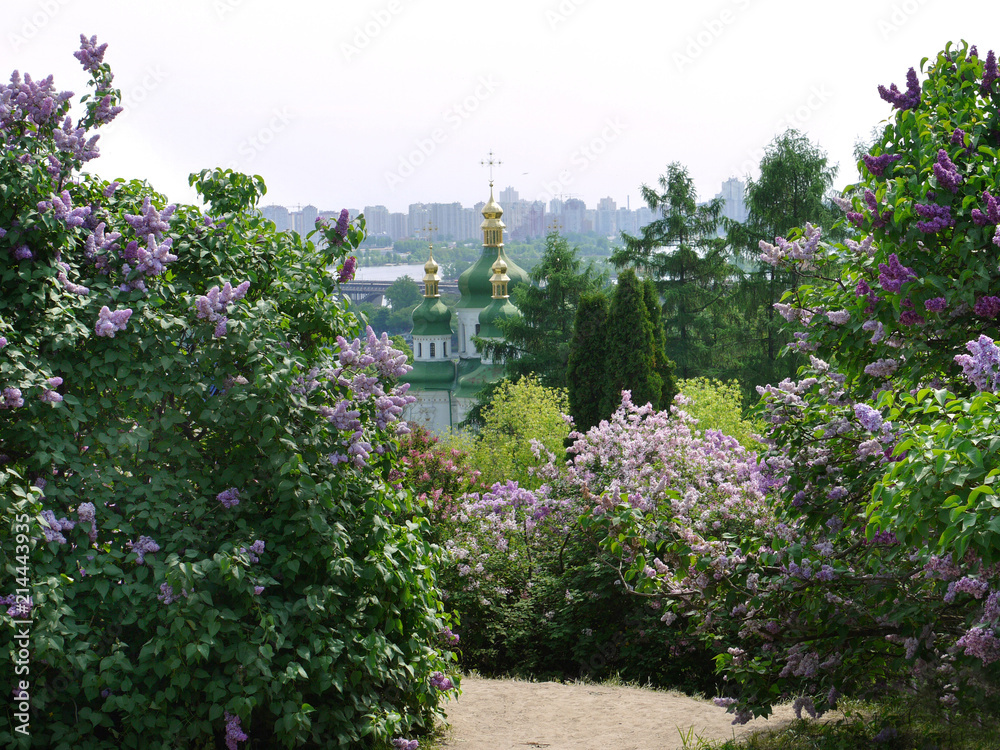 lilac bushes near the road against the backdrop of the green domes of the church