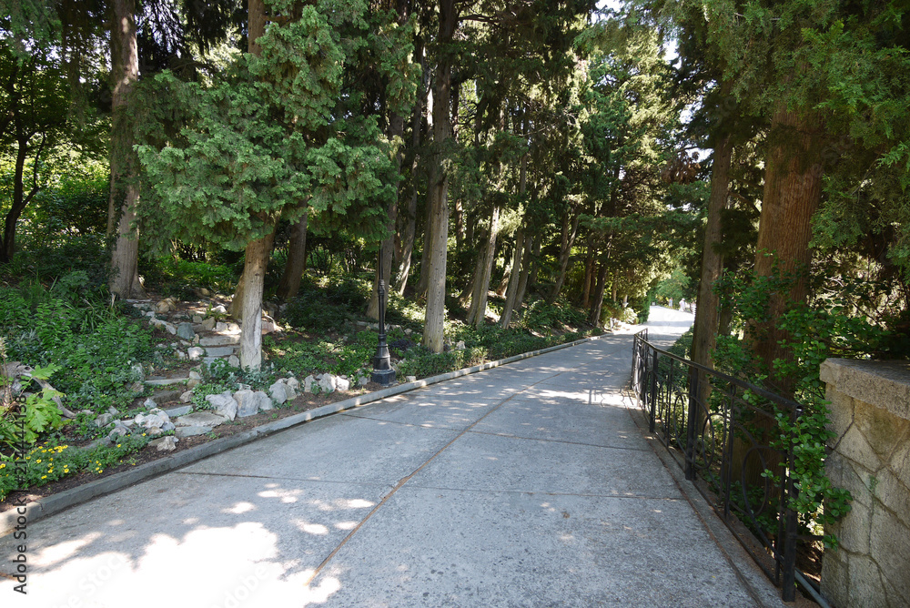 Park walking area with huge deciduous trees and small ornamental bushes on the sides Park walking area with huge deciduous trees and small ornamental bushes on the sides
