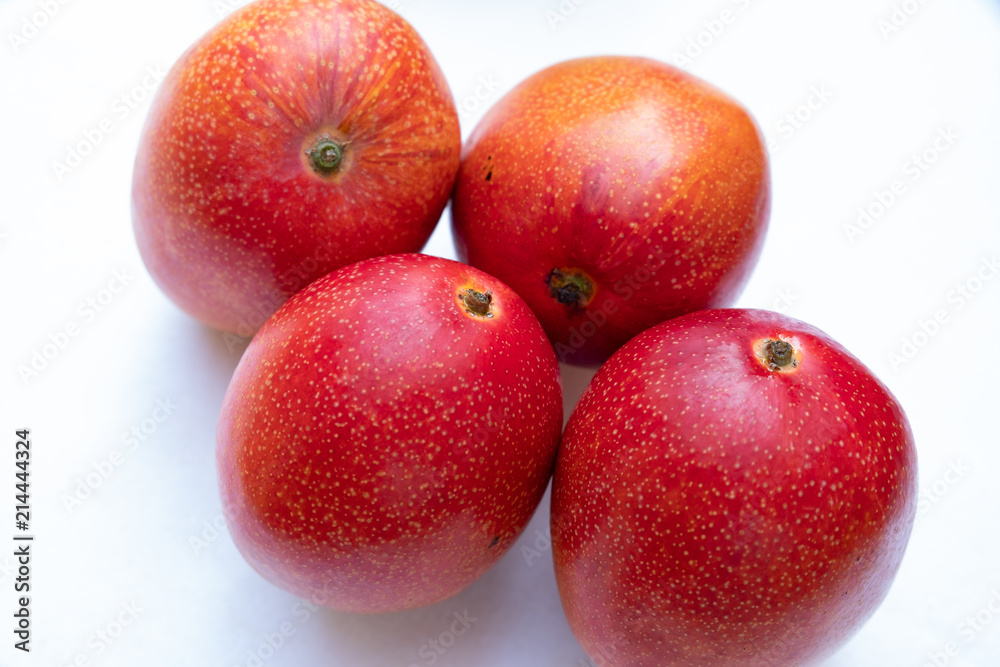 Fototapeta premium 太陽の卵マンゴー