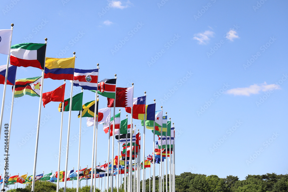 A view of the flying flags of all nations in the wind in Seoul Korea / the flying flags of all nations in the wind A view of the flying flags of all nations in the wind in Seoul Korea / the flying flags of all nations in the wind