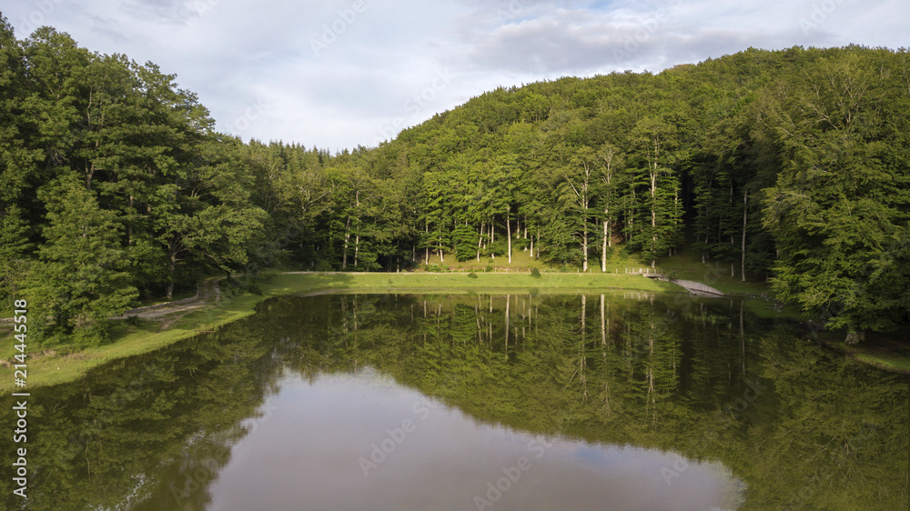 Aerial view of a small natural freshwater lake. The pond is nestled in the green of a forest in the Italian mountains. There are no people on this beautiful spring days. Aerial view of a small natural freshwater lake. The pond is nestled in the green of a forest in the Italian mountains. There are no people on this beautiful spring days.