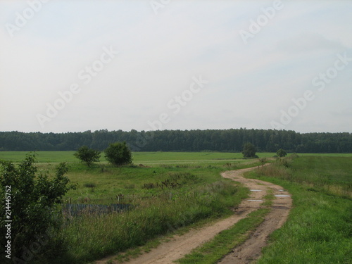 landscape