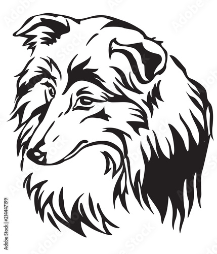 Decorative portrait of Dog Sheltie vector illustration