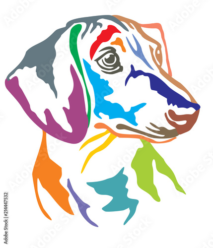 Colorful decorative portrait of Dog Dachshund vector illustration