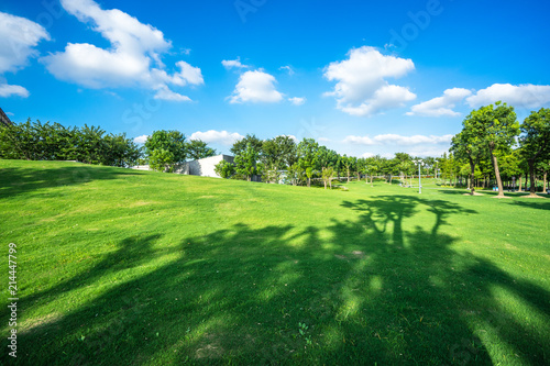 Fototapeta Naklejka Na Ścianę i Meble -  green lawn with city skyline in the park