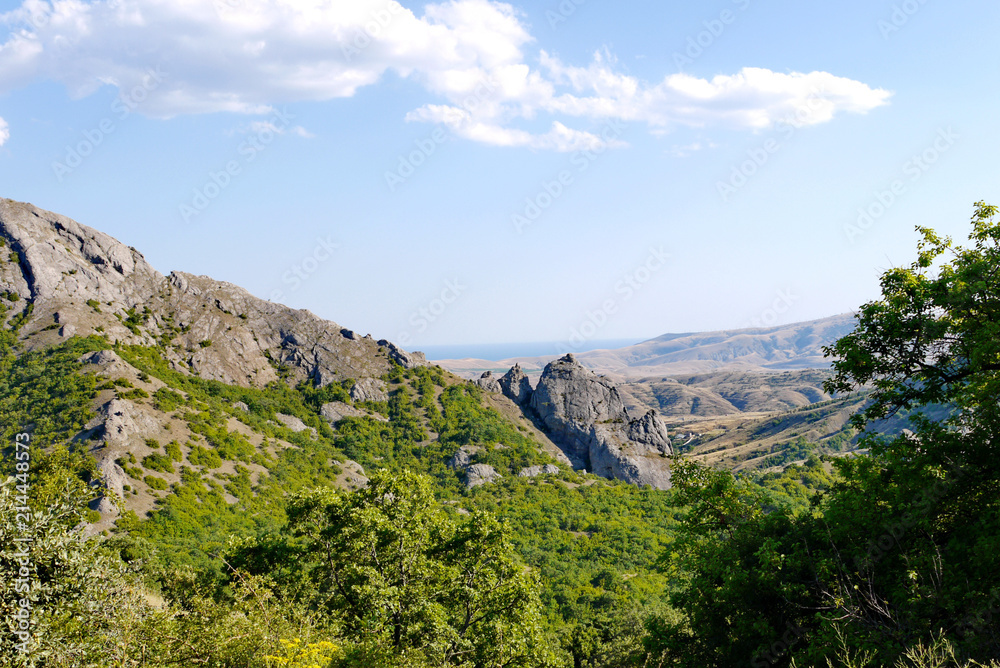 steep grassy slopes on the background of high endless mountains covered with trees