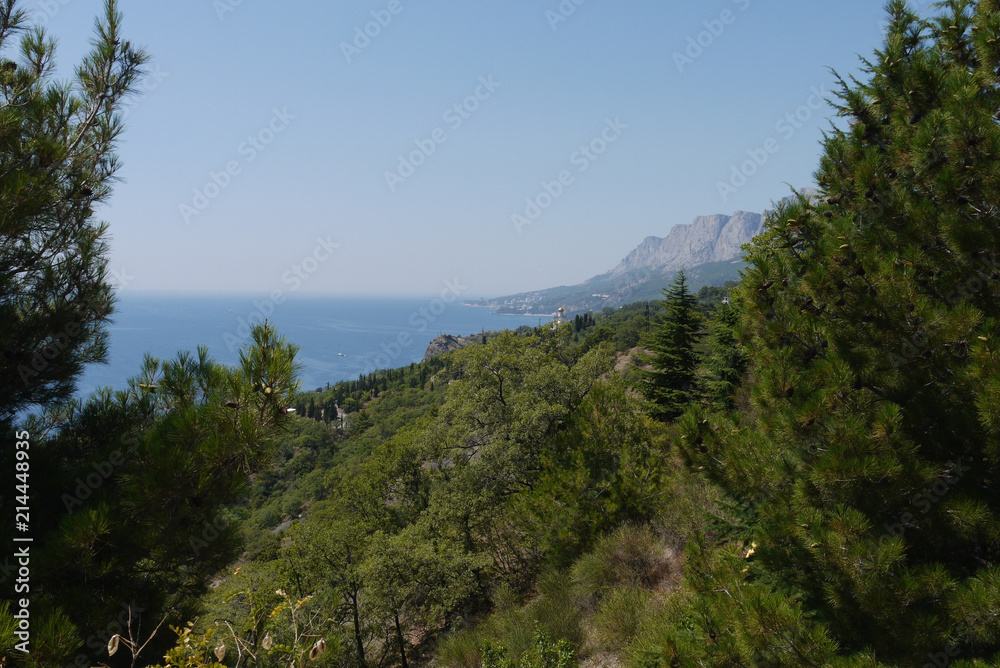 grass slopes on the background of high steep cliffs and the boundless black sea