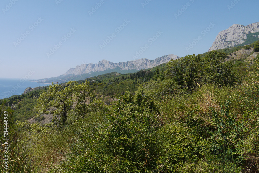grass slopes on the background of high steep cliffs and the boundless black sea grass slopes on the background of high steep cliffs and the boundless black sea