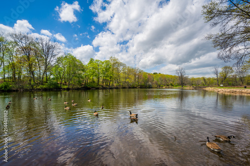 The Duck Pond at Edgewood Park in New Haven, Connecticut