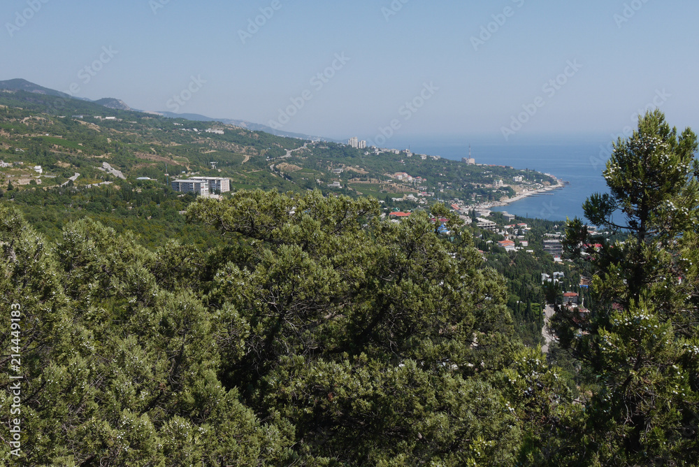 wide green trees under a blue sky on the background of a beautiful coastal town