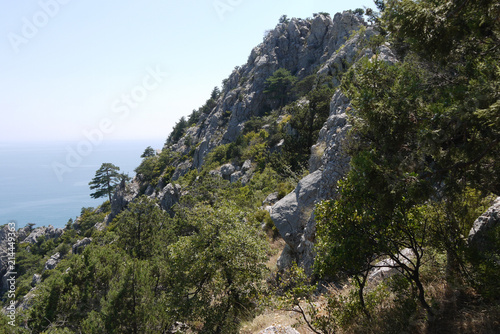 steep cliffs covered with grass on the background of the great sea photo
