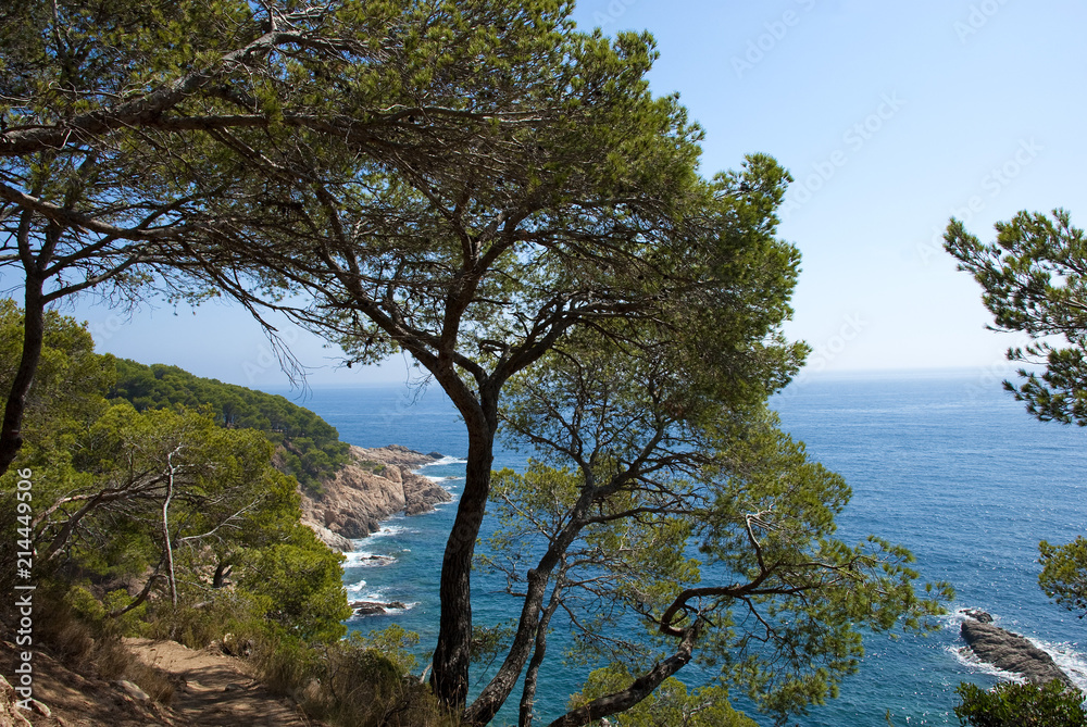 Küstenlandschaft der Costa Brava zwischen Tamariu und Calella de Palafrugell, auf dem Wanderweg 