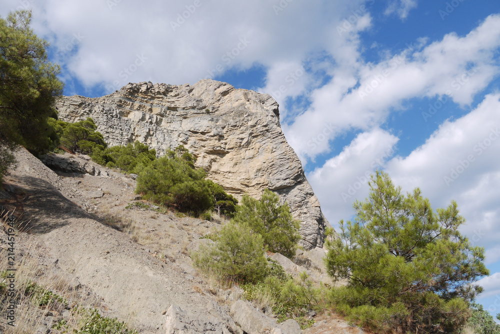 high acute cliff covered with trees on the blue sky background high acute cliff covered with trees on the blue sky background