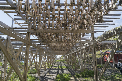 Cod drying racks in Skrova fishing village northern Norway photo