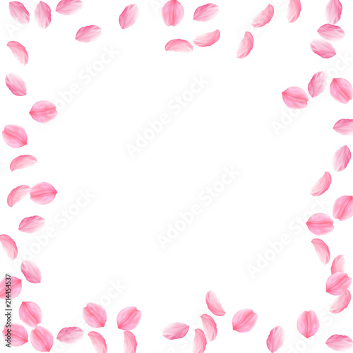 Sakura petals falling down. Romantic pink silky medium flowers. Sparse flying cherry petals.