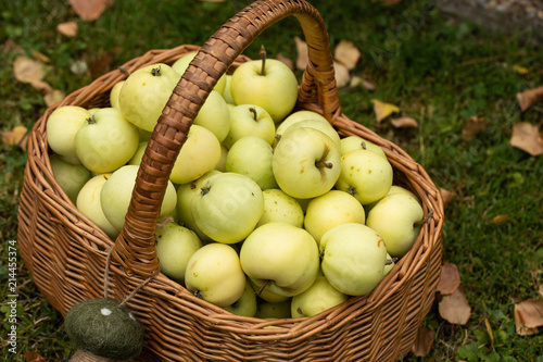 Äpfel zum Einlagern