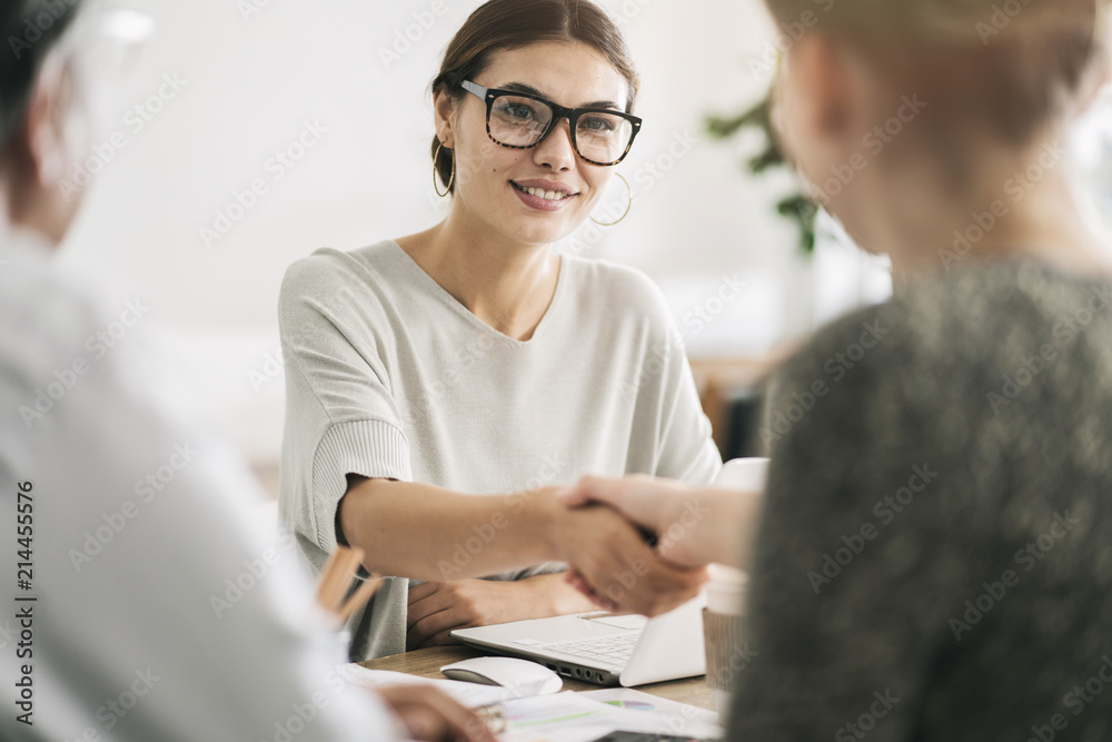 Fototapeta premium Business people discussion advisor concept