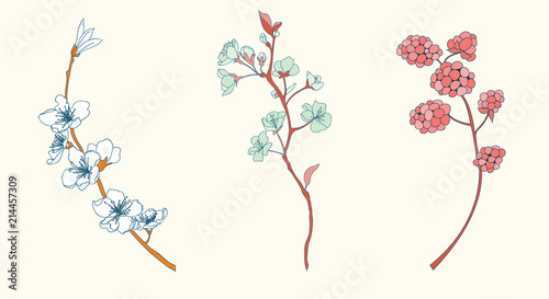 Cherry Flower Vector Illustration Element Set