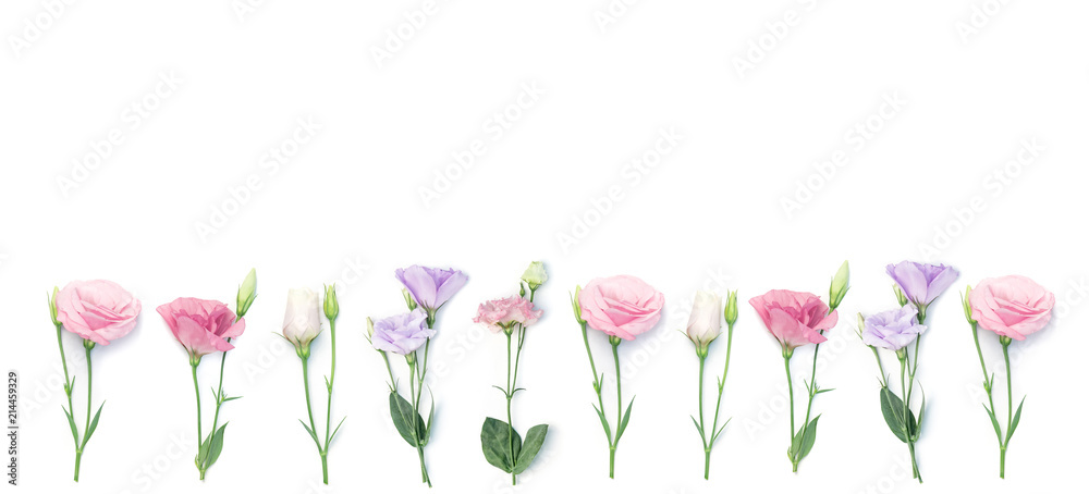 Floral frame or border of eustoma flowers isolated on white background