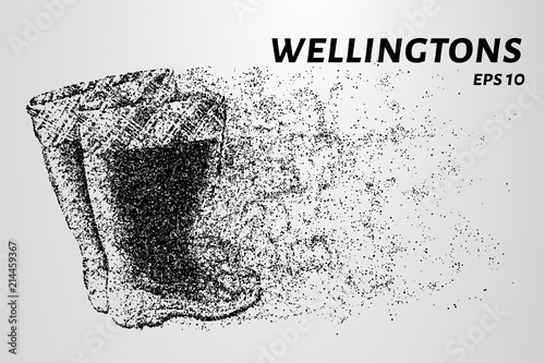 Wellingtons consist of particles. Wellingtons on a light background