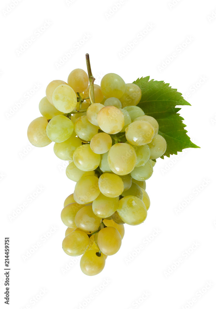 Fresh green grapes branch isolated on white background.