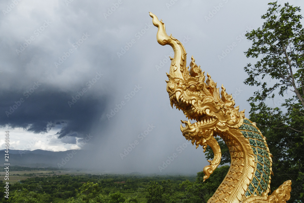 Fototapeta premium serpent gold in front of the rain