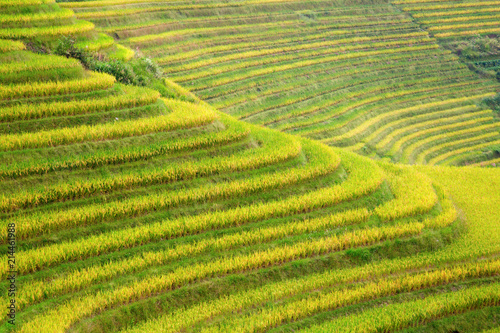 Longji Rice Terraces