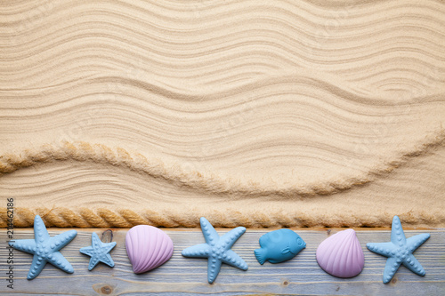 Obraz na plátne Seashells on wooden plank and hawser on beach sand
