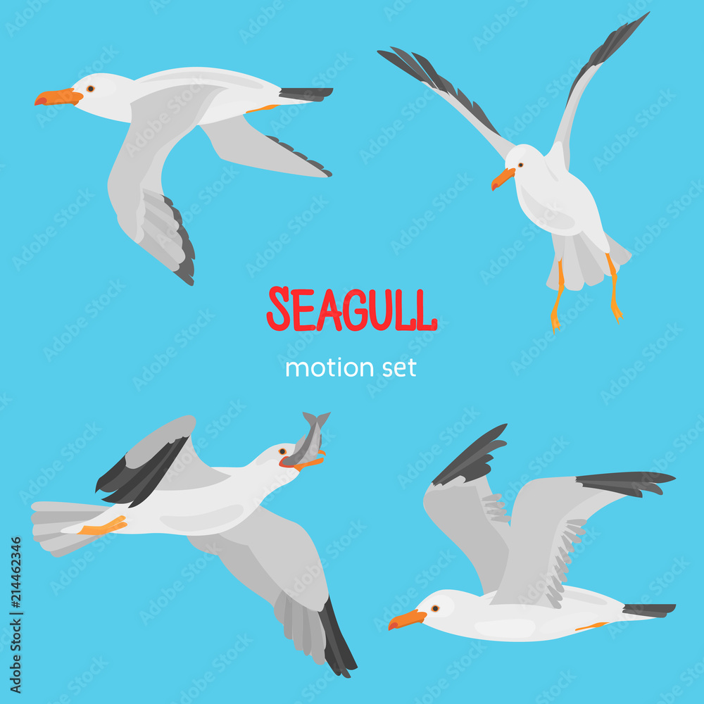 Obraz premium Seagull bird in dufferent motions color flat icons set