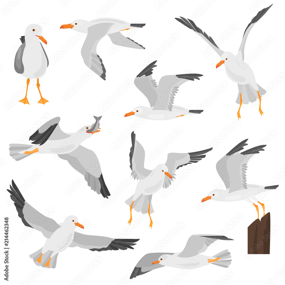 Fototapeta premium Seagull bird in dufferent motions color flat icons set