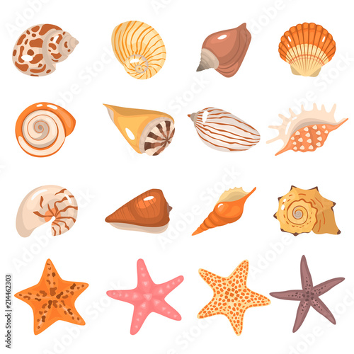 Sea shells and starfish color cartoon icons set